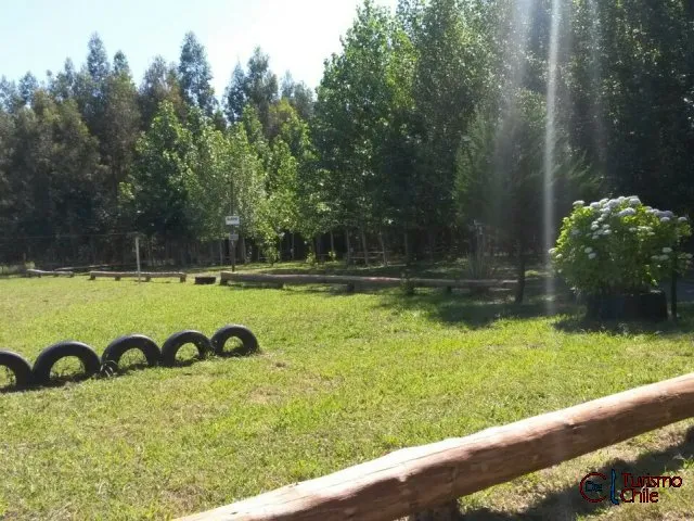 Niños jugando en el área de juegos infantiles del camping