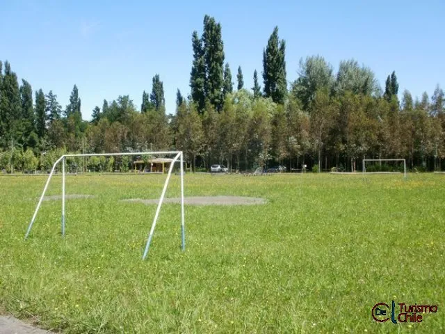 Cancha de fútbol del Camping Los Radales rodeada de árboles
