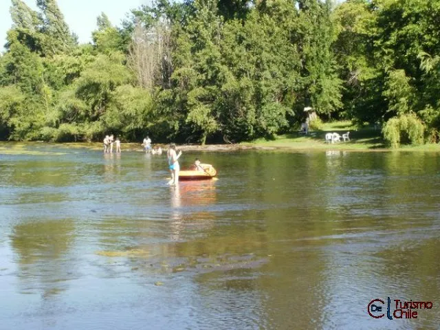 Servicios higiénicos modernos del Camping Los Radales